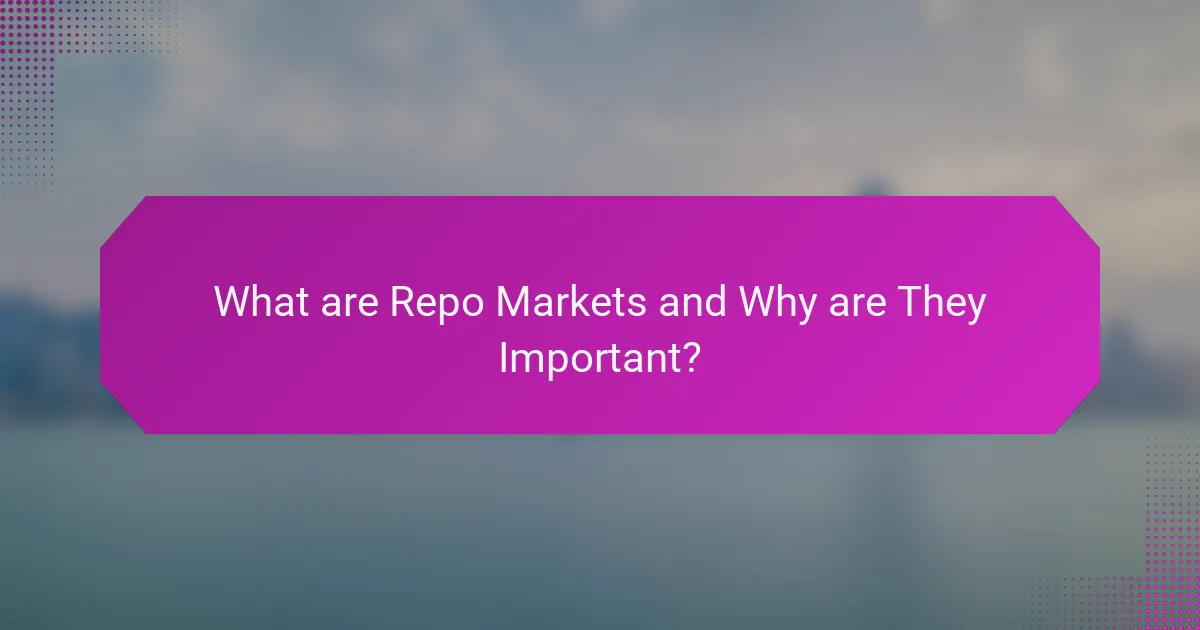 What are Repo Markets and Why are They Important?