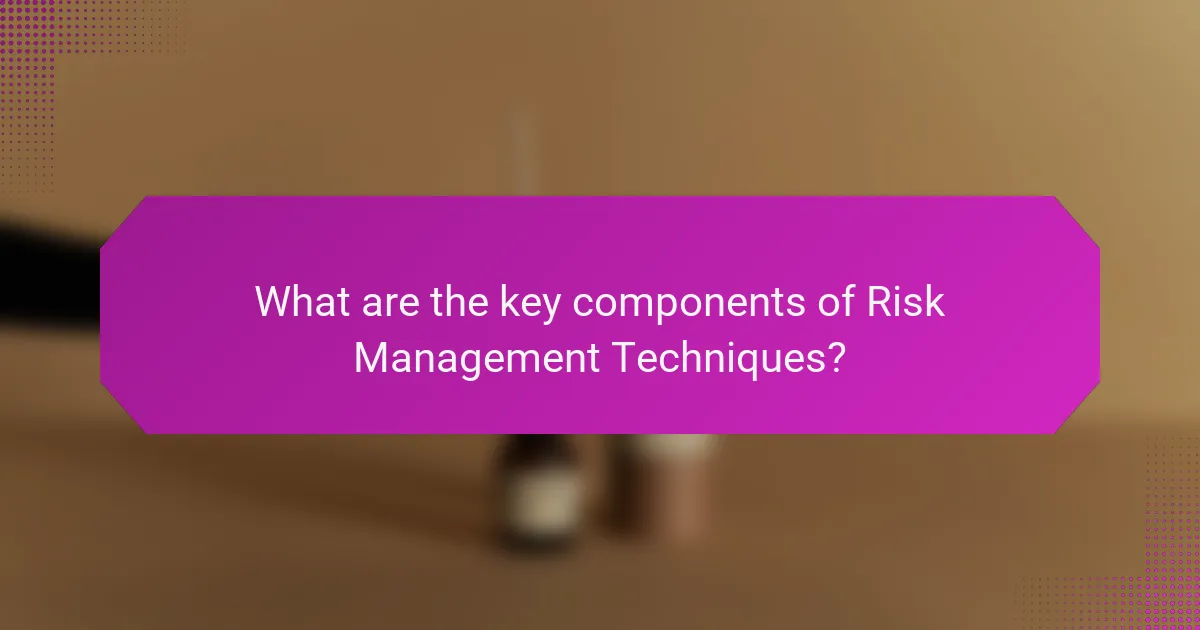 What are the key components of Risk Management Techniques?