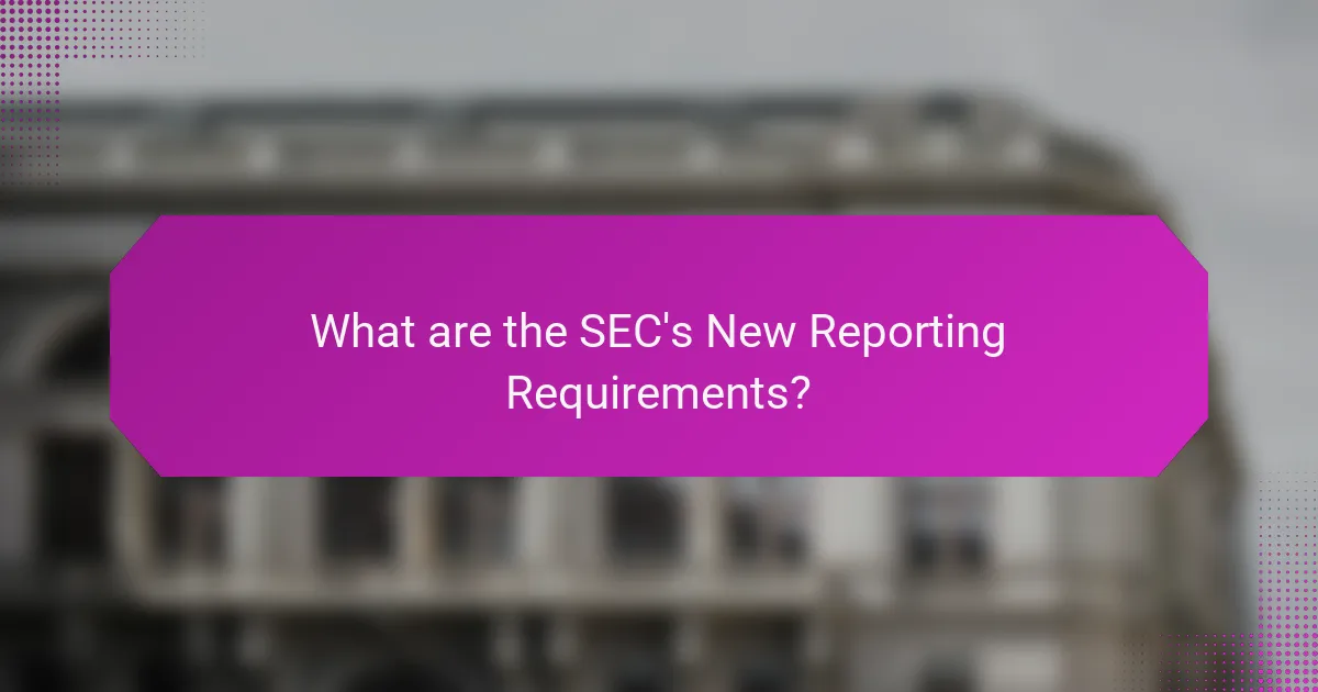 What are the SEC's New Reporting Requirements?