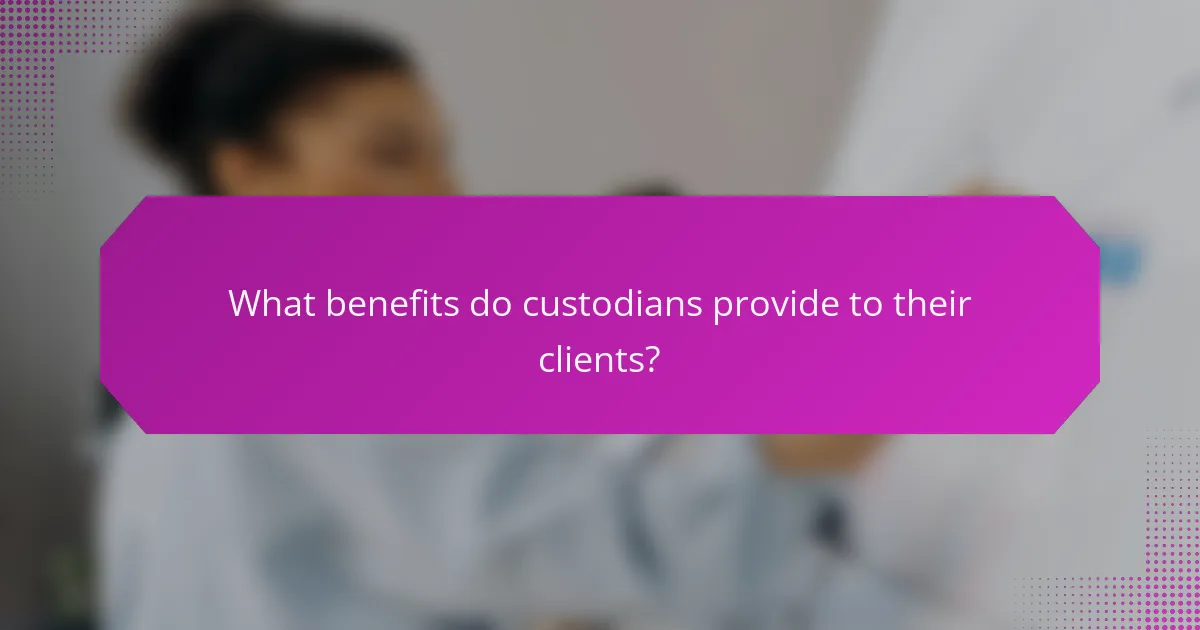 What benefits do custodians provide to their clients?