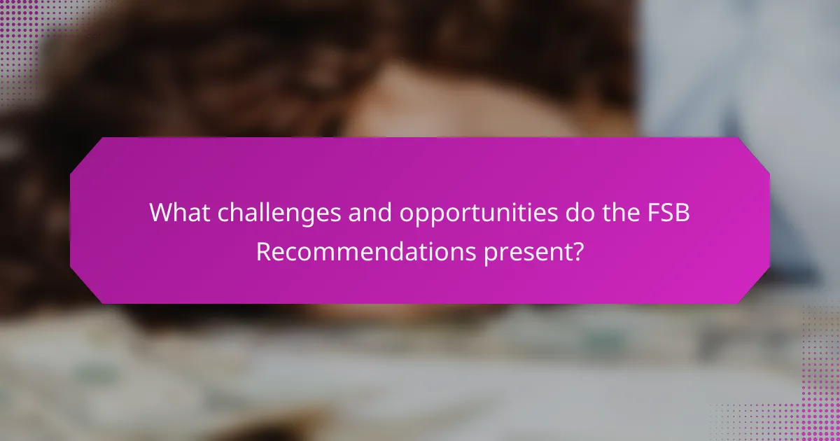 What challenges and opportunities do the FSB Recommendations present?