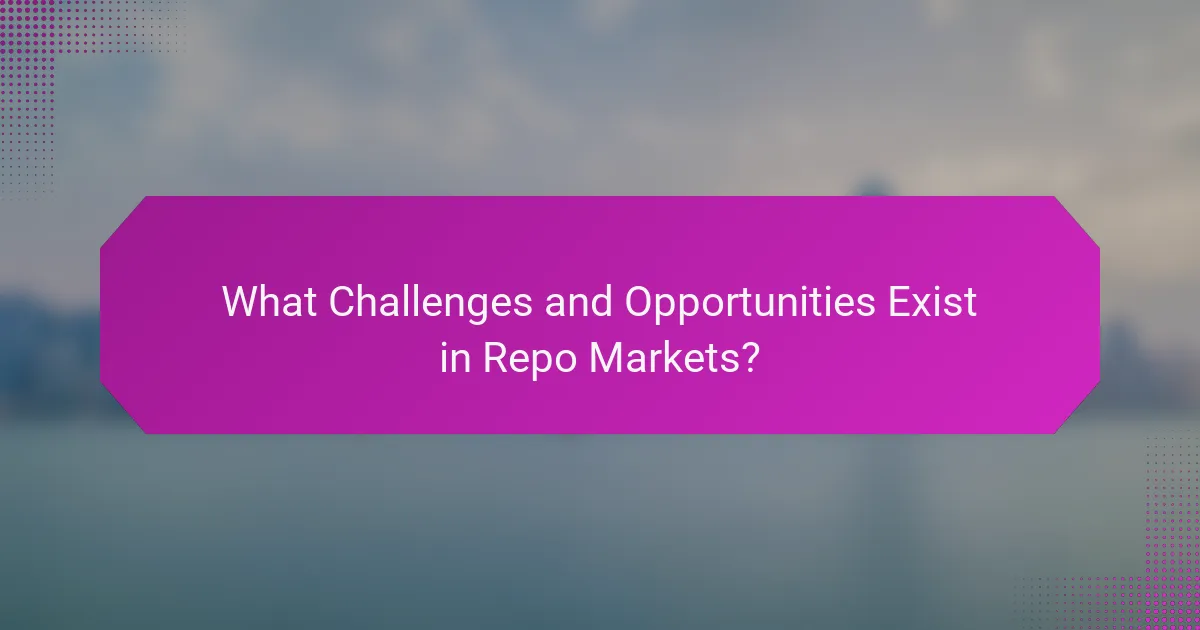 What Challenges and Opportunities Exist in Repo Markets?