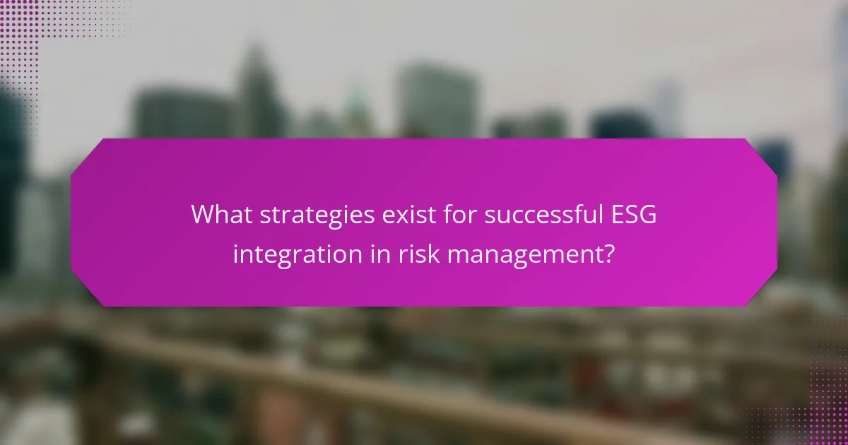 What strategies exist for successful ESG integration in risk management?